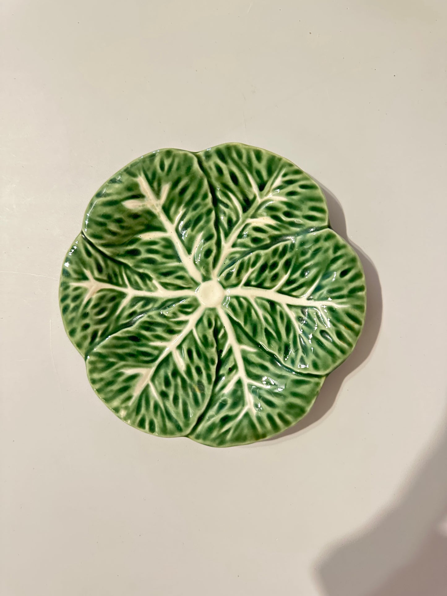 Maxcera 6” Plates