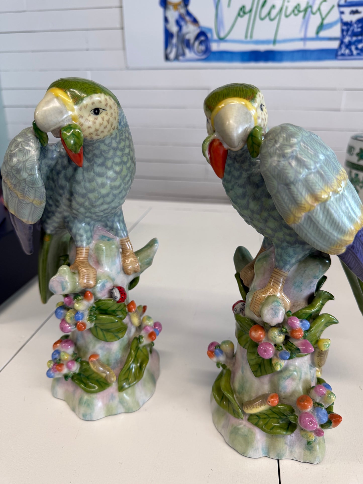 Colorful Parrot pair