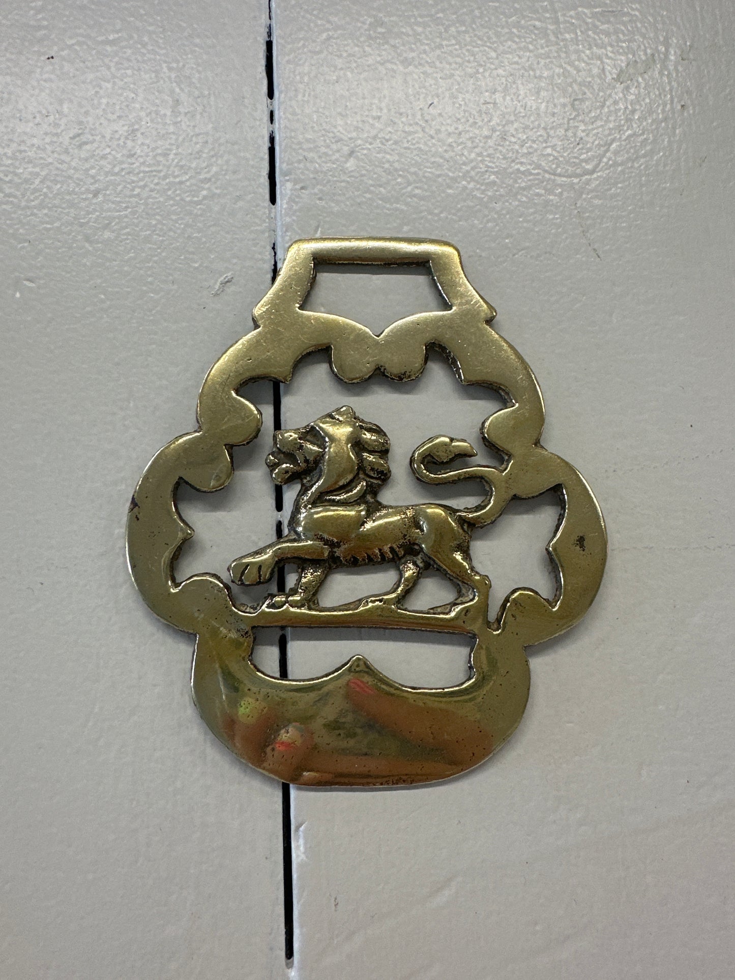Brass Lion medallion