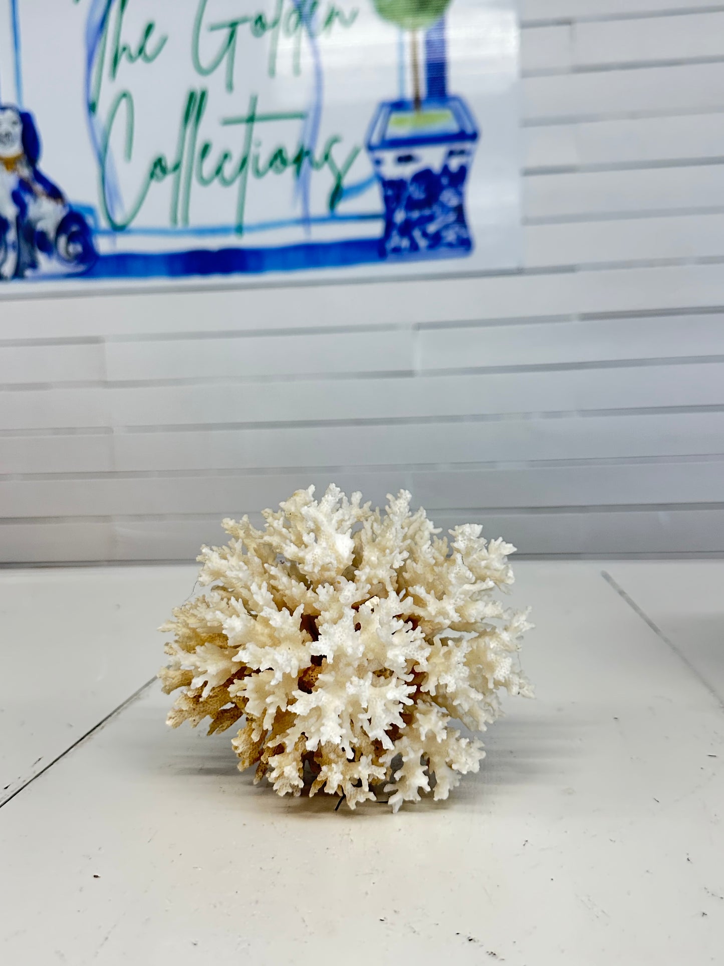 Coral