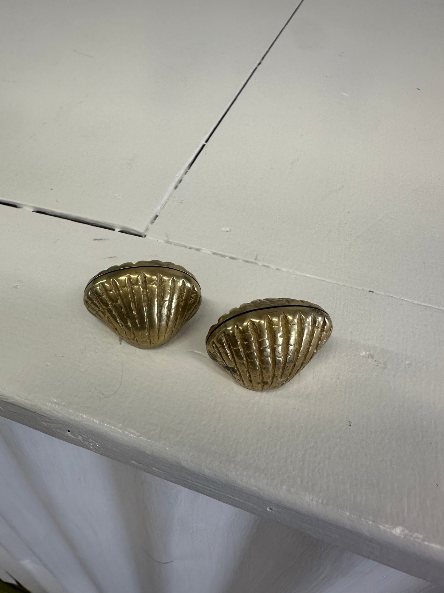 Brass Seashell Paperweight Set