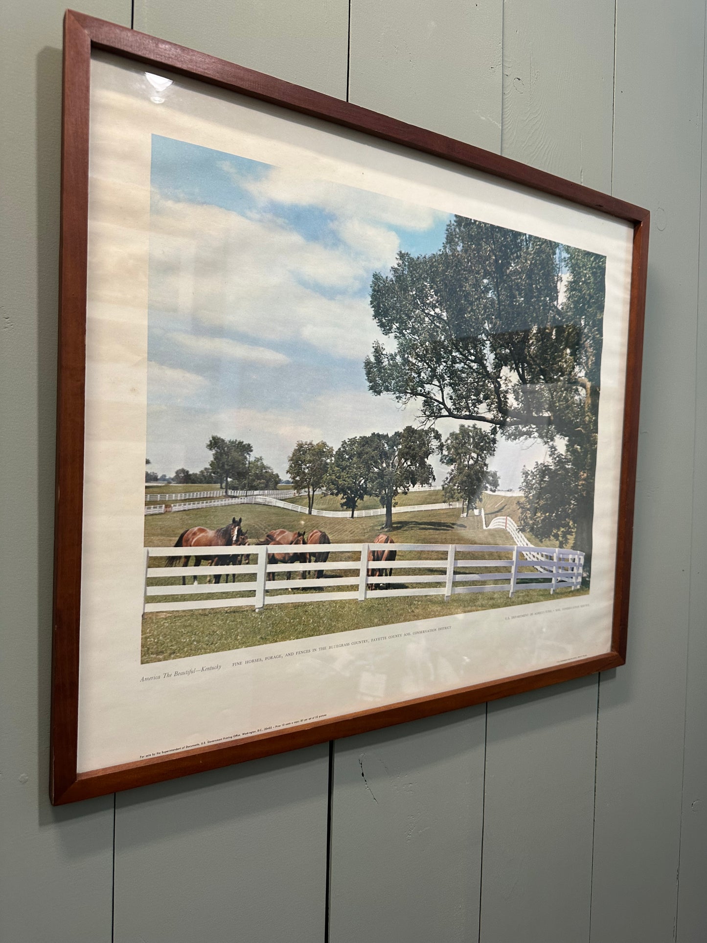 Kentucky Horse Framed Art