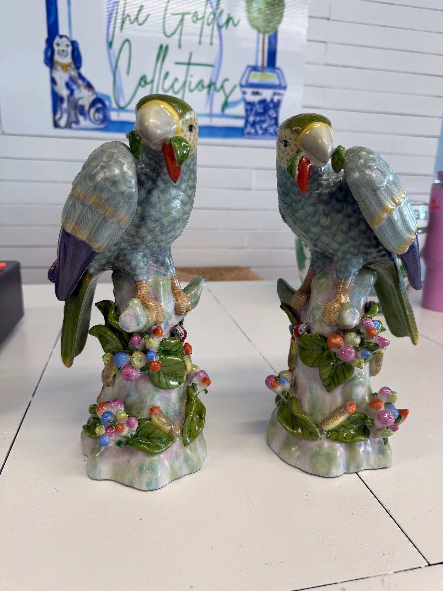 Colorful Parrot pair